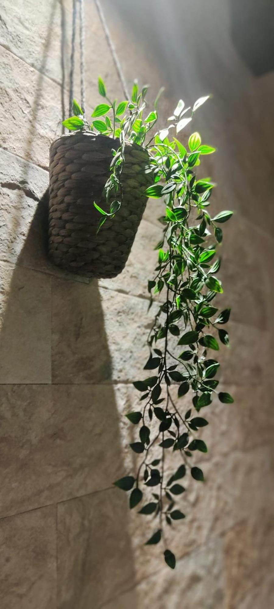 Dimora Al Saraceno Hotel Ferrara Ngoại thất bức ảnh